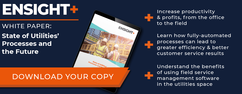 UtilityProcesses and Future CTA Horizontal Full Download white paper: State of Utilities' Processes and the Future - EnSight+